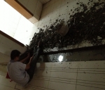 綿陽南山中學廁所漏水補漏